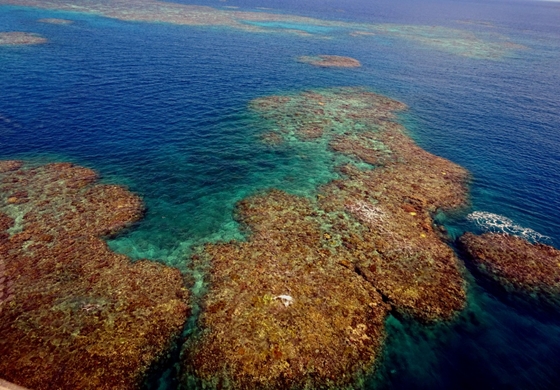 Tech: Lassan teljesen mindegy, mit teszünk: elesik a Nagy-korallzátony, visszafordíthatatlan következményei mutatkoznak a klímaváltozásnak