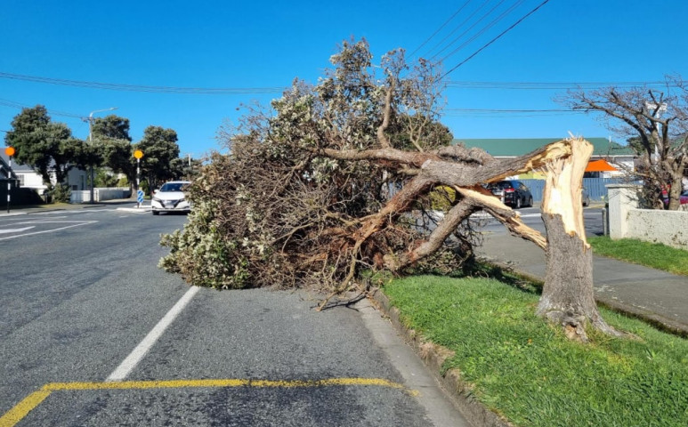 130 km/h-ás szél tombolt Új Zélandon