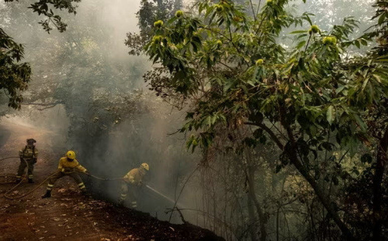 Evakuálások Tenerifén az erdőtűz miatt