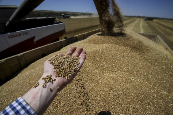 Az ukrán gabona exportja meghaladta a 12 millió tonnát