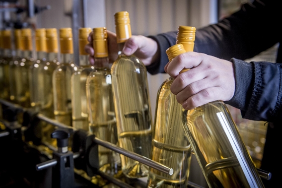 Gazdaság: Drágulhatnak a borok, mert nincsenek a pénzüknél a borászok