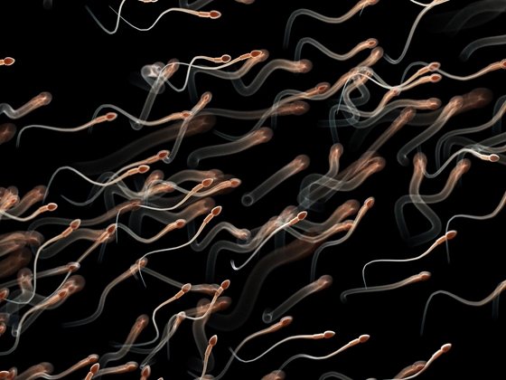 Tech: 2886 férfi megvizsgálása után derült ki: a mobilok sugárzása csökkenti a spermiumszámot