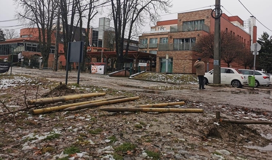 Élet+Stílus: Engedély nélkül, értelmetlenül vágtak ki több frissen ültetett fát a Rómain, a rendőrség intézkedik