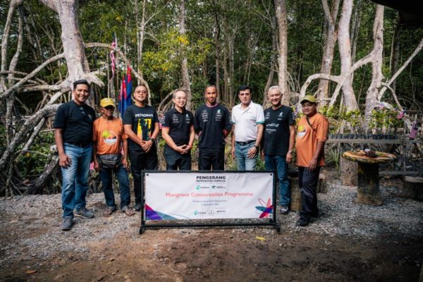Hamilton meglepte a mangrove erdők önkénteseit