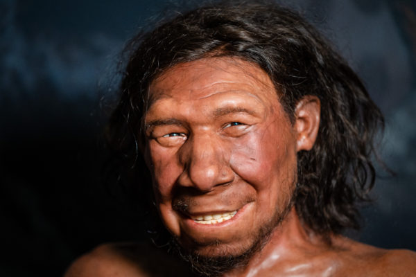 Szeret korán kelni? Neandervölgyi ősei lehetnek