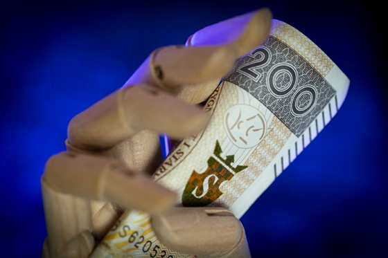 Gazdaság: A Google véletlenül majdnem bedöntötte a lengyel zlotyit