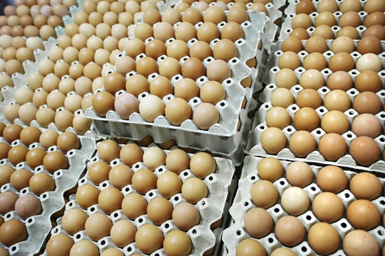 Vállalkozás: Budán kísérletezik a Spar, mit szólnak a vevők, ha nem kaphatnak ketreces tartásból származó tojást